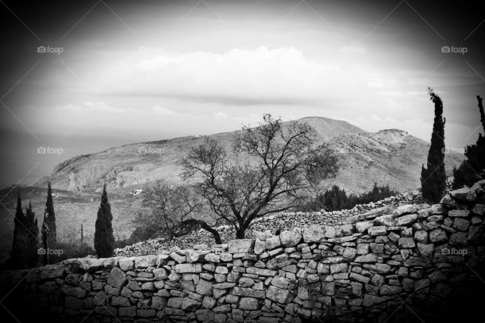 Typical Greek rural landscape 