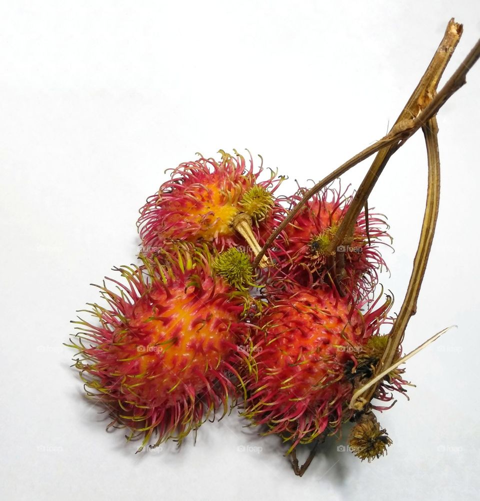 Fresh rambutan fruit on the table