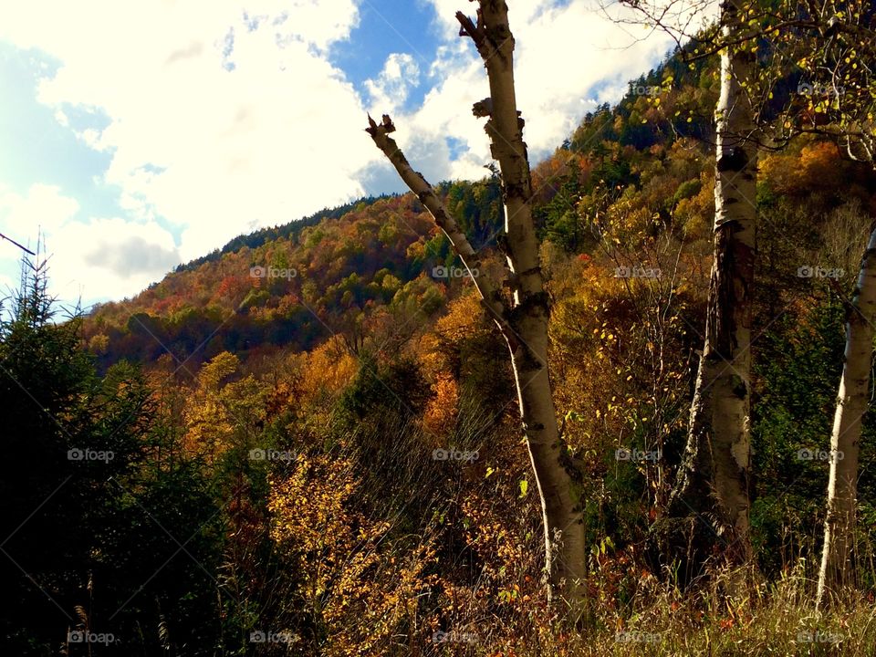 Adirondacks, NY