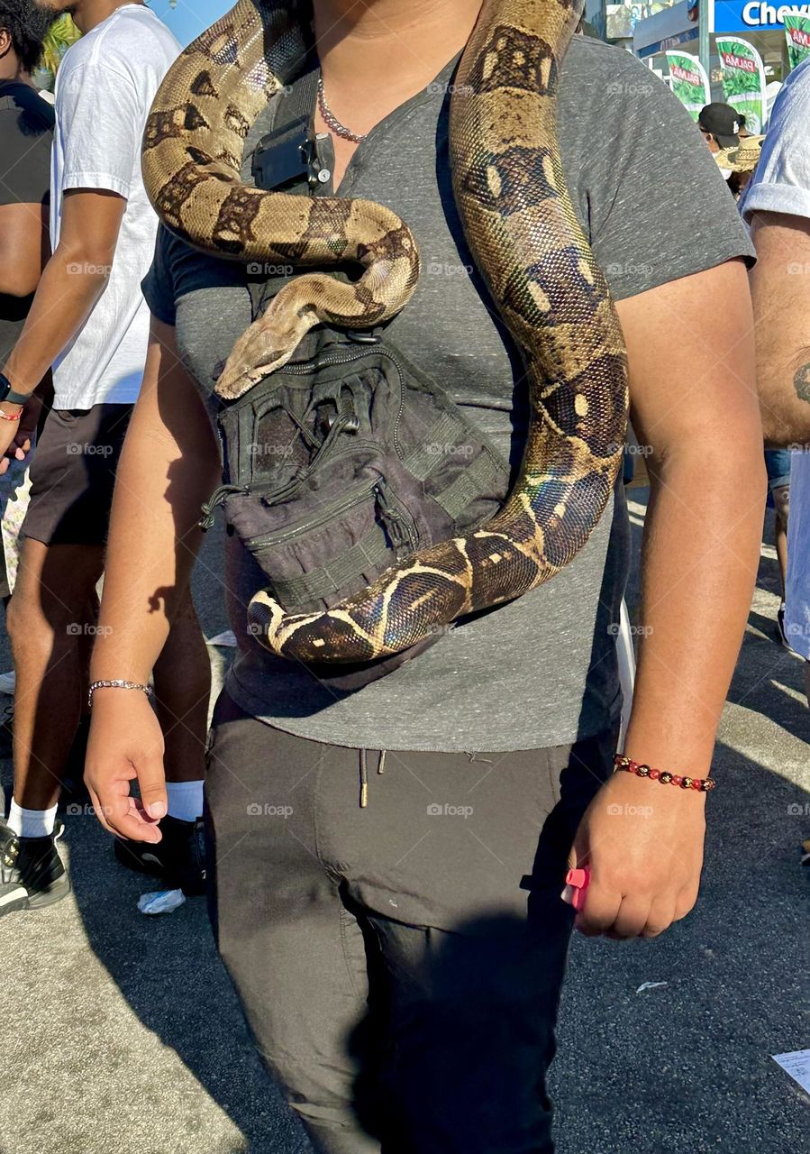 Man walking with a Boa constrictor -  Pets aren’t always the easiest subjects to photograph. No matter how many times you ask them to look at the camera, in the end, they’re going to do whatever they want to do.