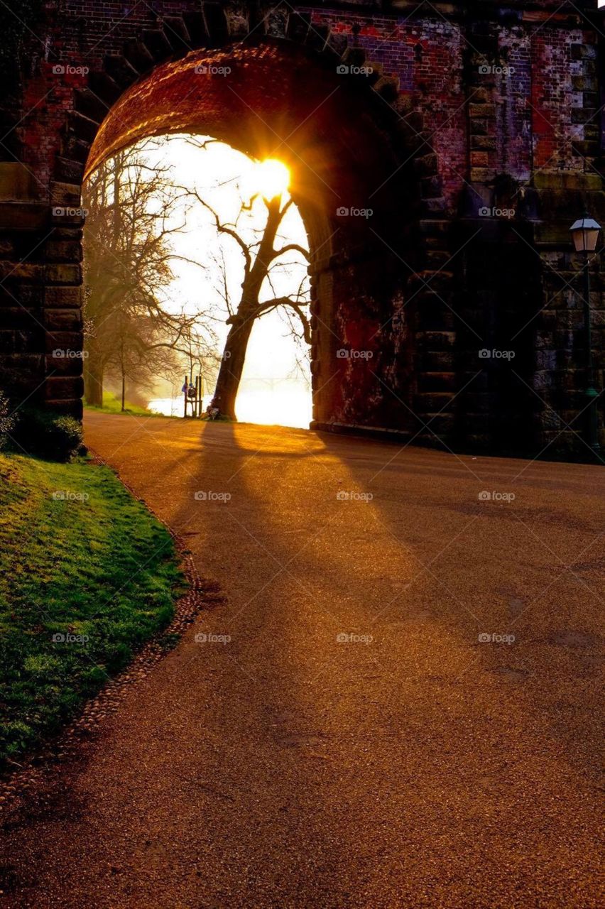 Under The Bridge In England, Sunrise In England, Avenham Park In Preston England, Light Shining On Landscape Portrait 