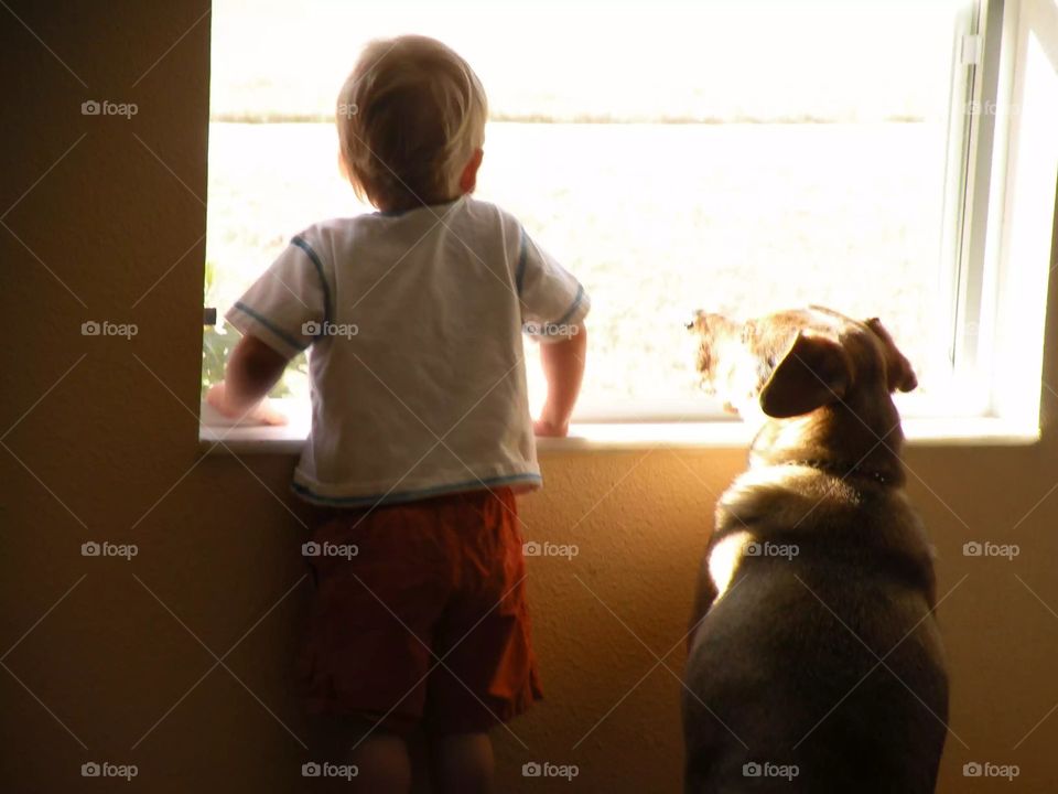 A boy and his dog, early morning.... What mischief can we get into today 