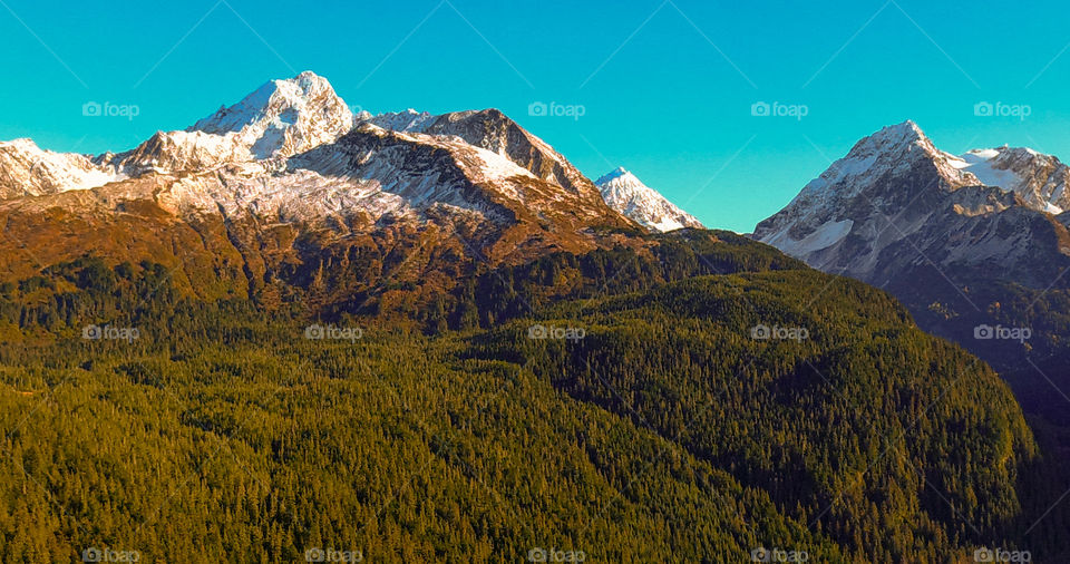 Fall in the wilderness