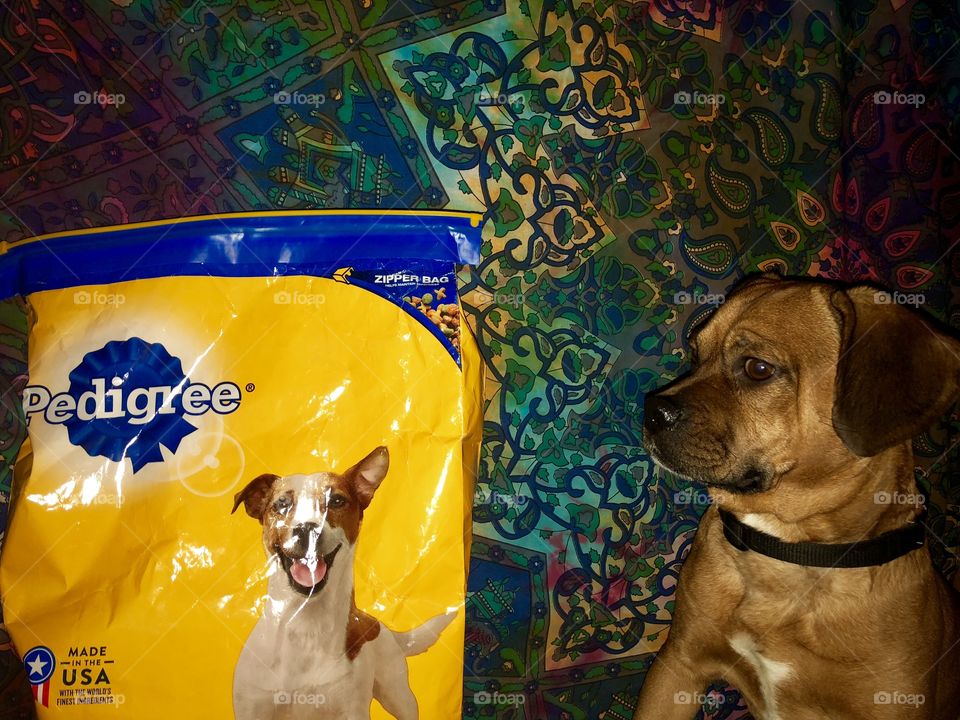 Looking off into the distance for that serious effect 