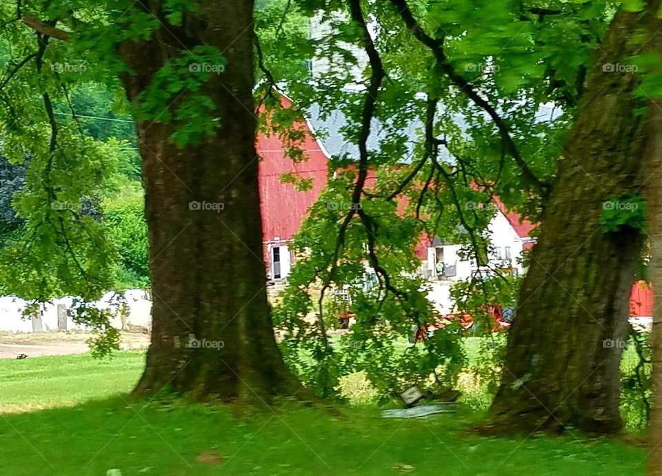 Driving the Back Roads and enjoying everything around us