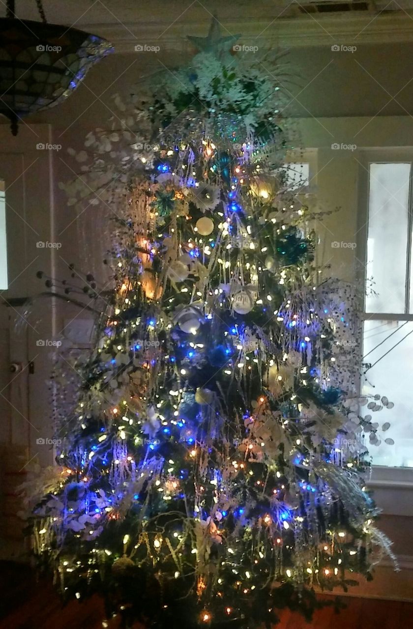 Christmas, Winter, Christmas Tree, Celebration, Decoration