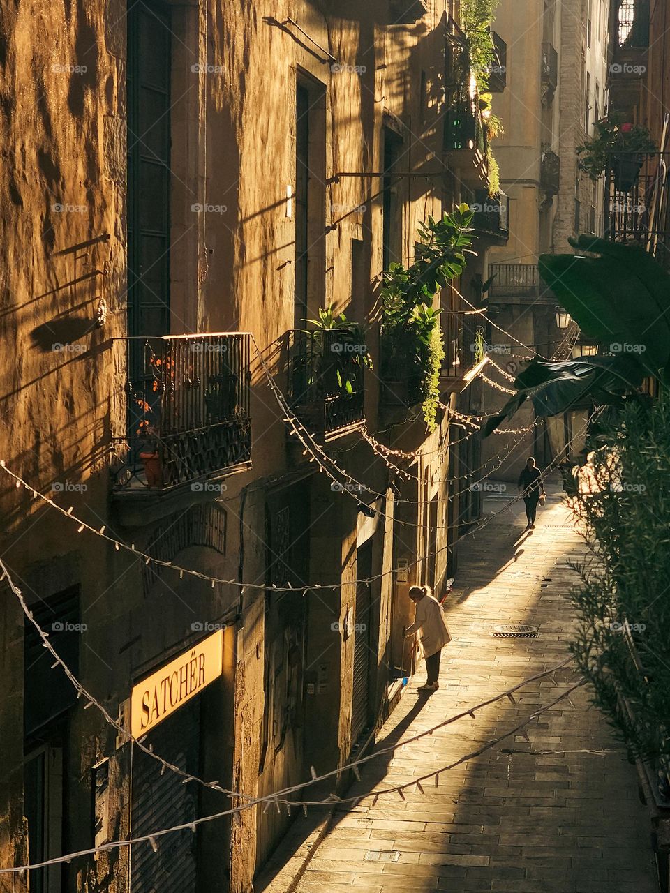 Morning lights