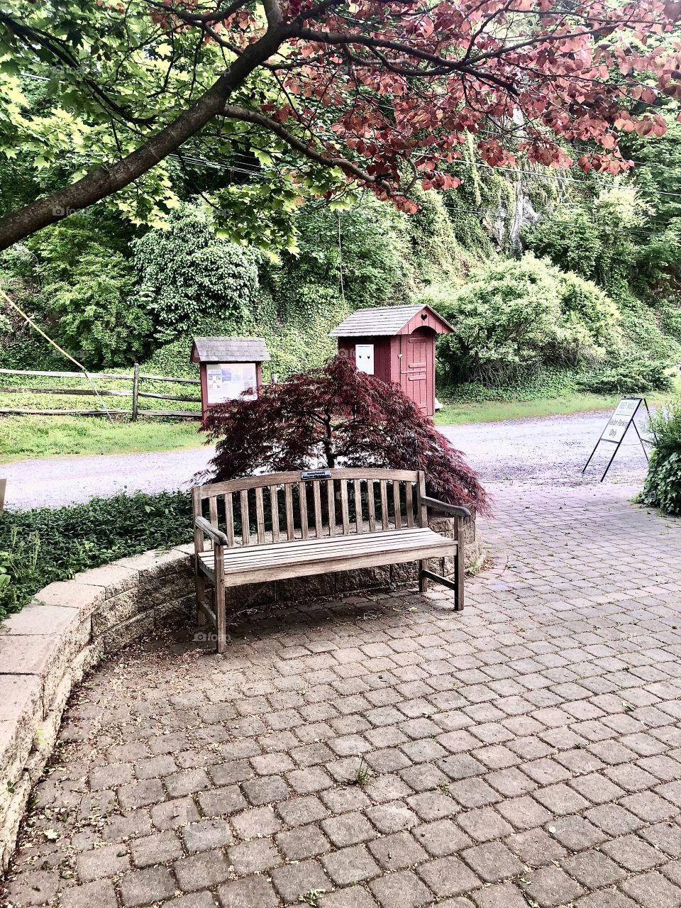 Beautiful things don’t ask for attention!