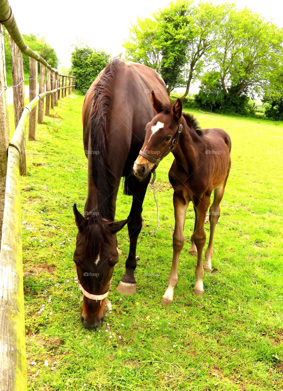 mum and baby