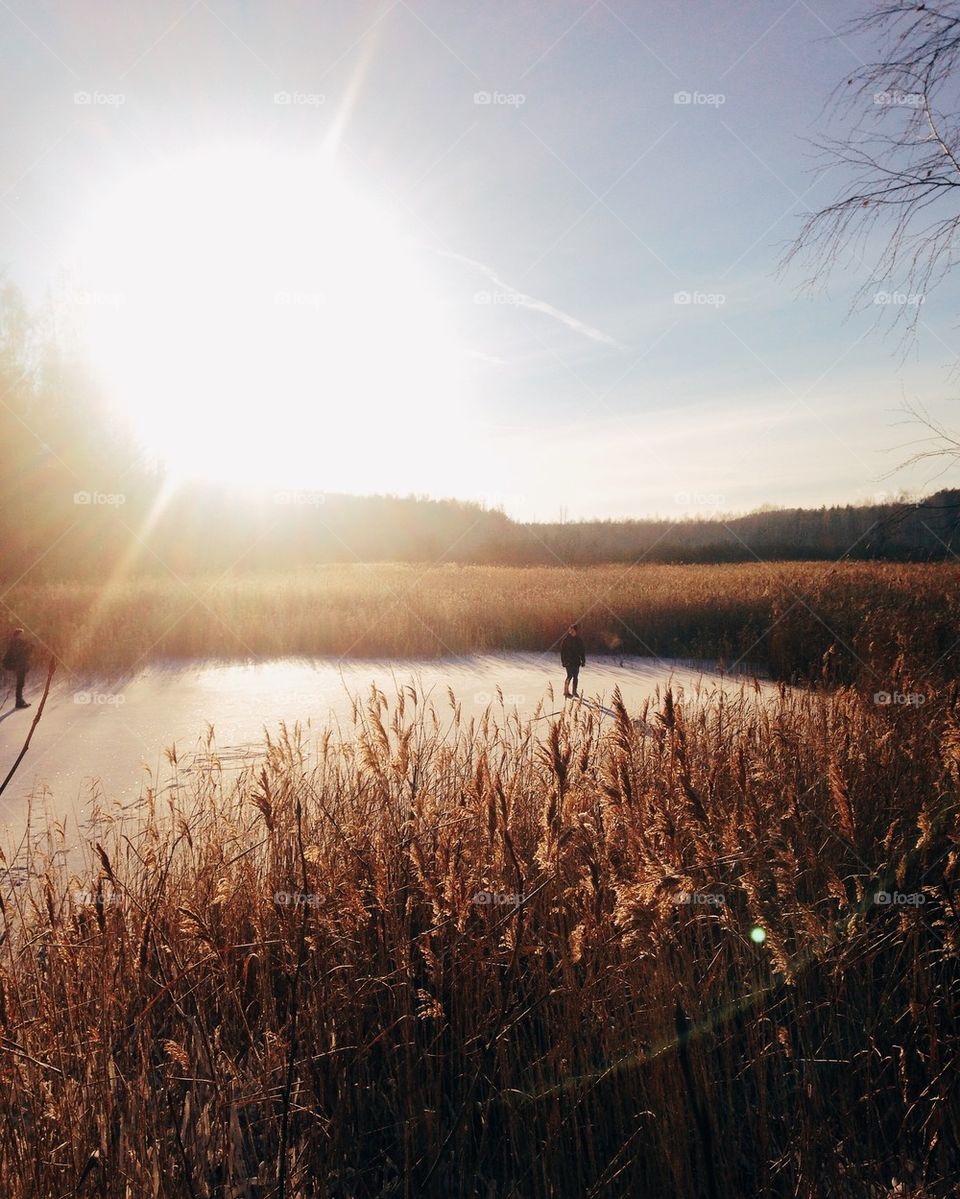 Sunset view in winter