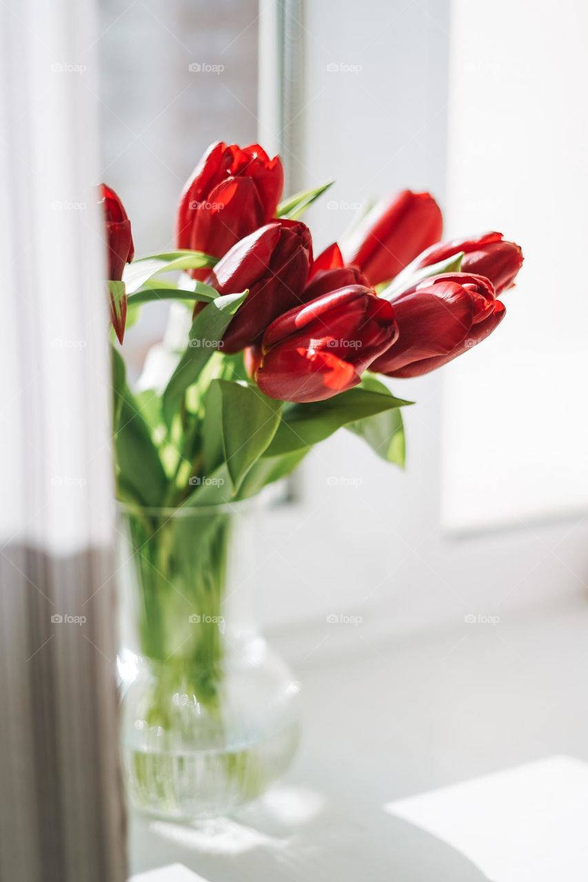 Beautiful bouquet of red tulips in vase at the home, natural background