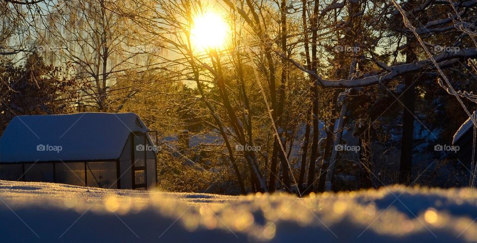 Sunset in the snow