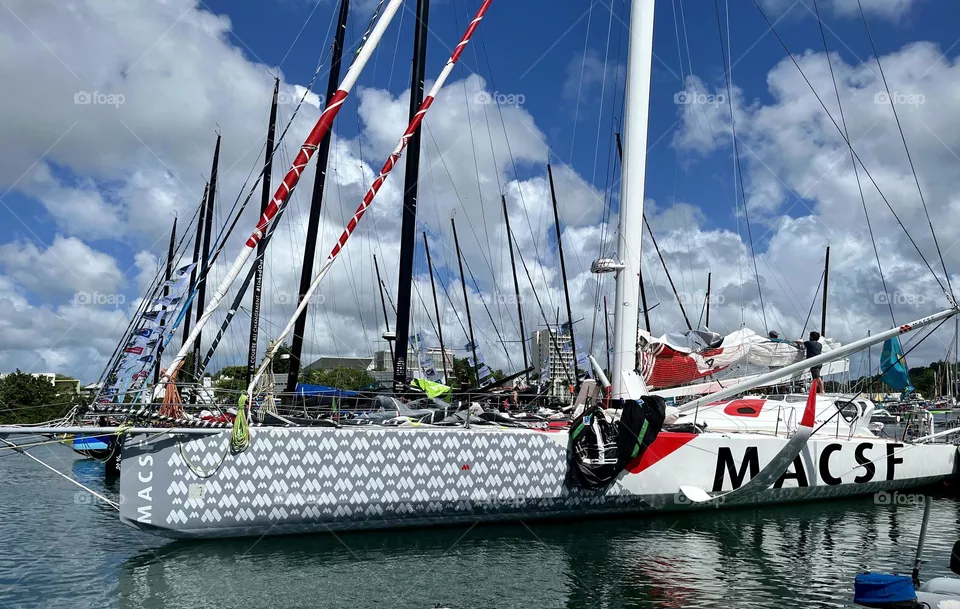 Catamaran 