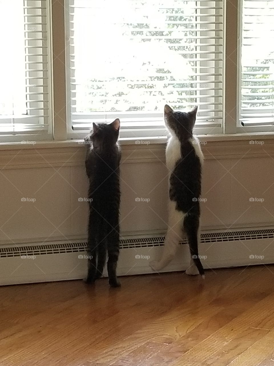 What's out there?