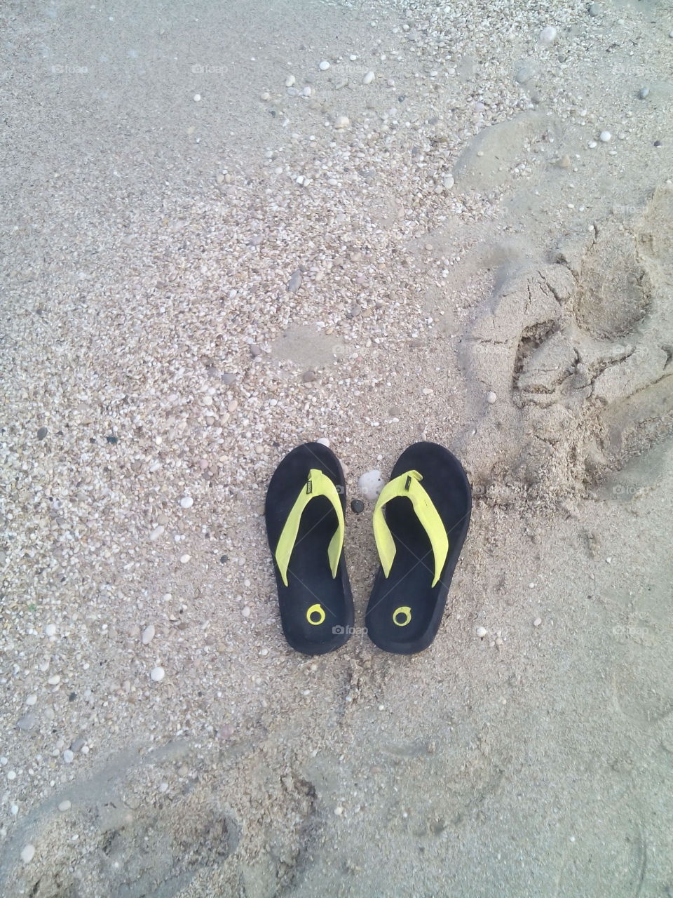 Beach, Sand, Ocean, Sea, Foot