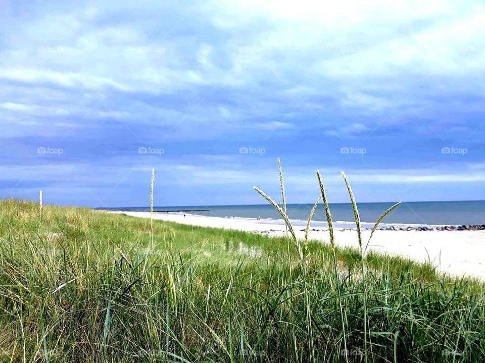 Danish beach Blåvand