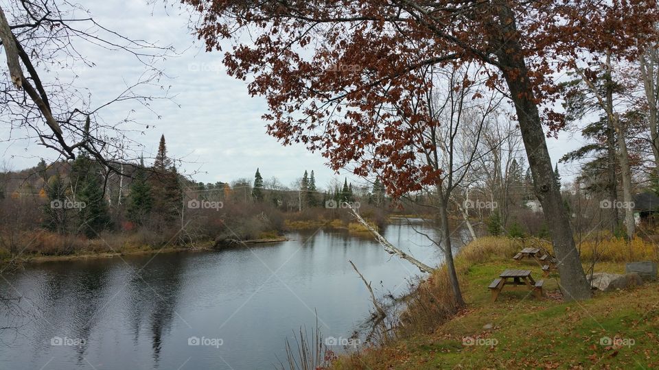 slow moving river with growth on both banks in the fall