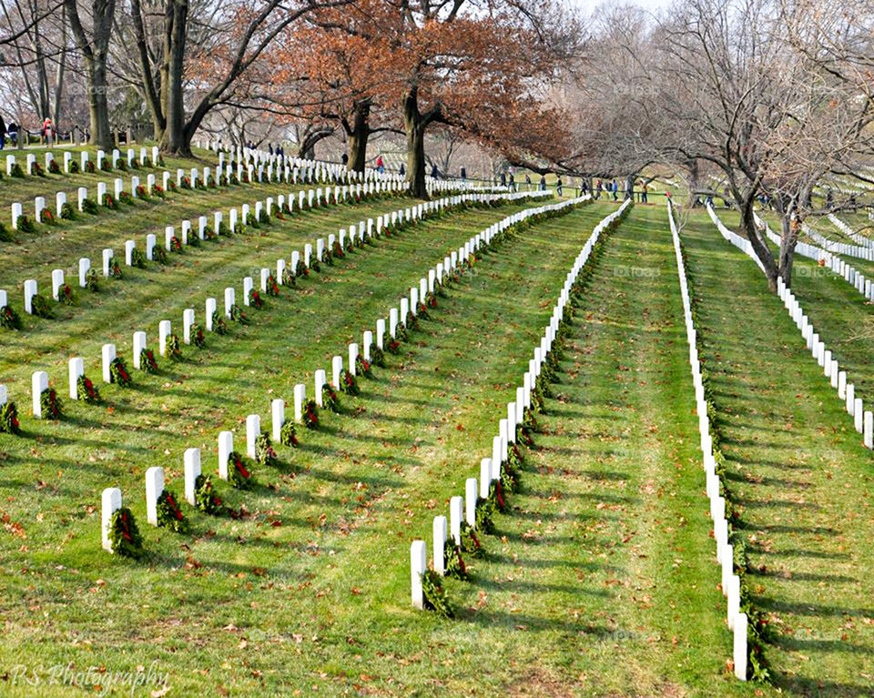 rows of graves. Arlington national cemetery wreaths across America ceremony
