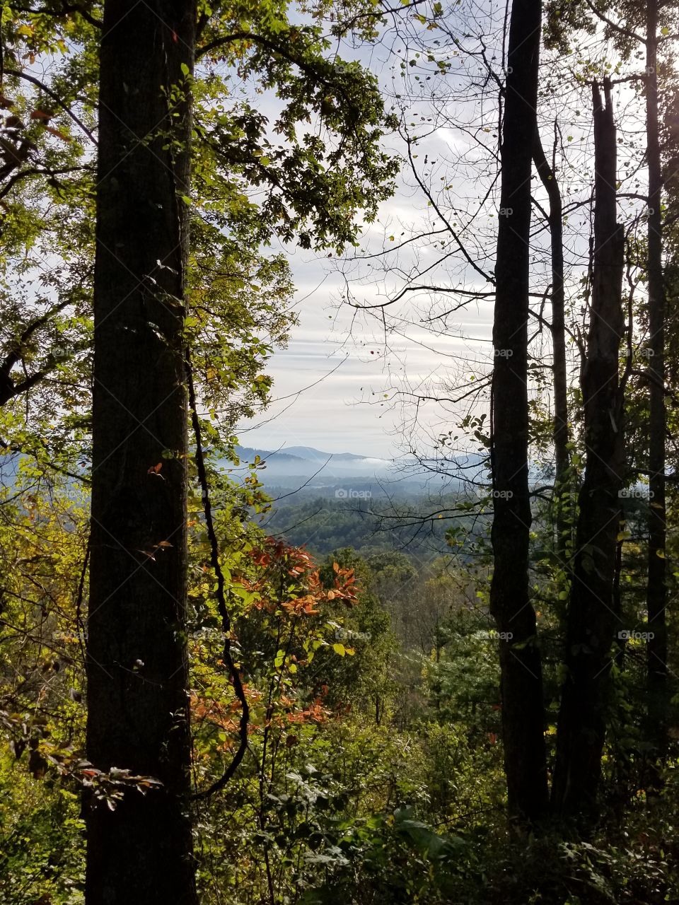 Parkway in the morning