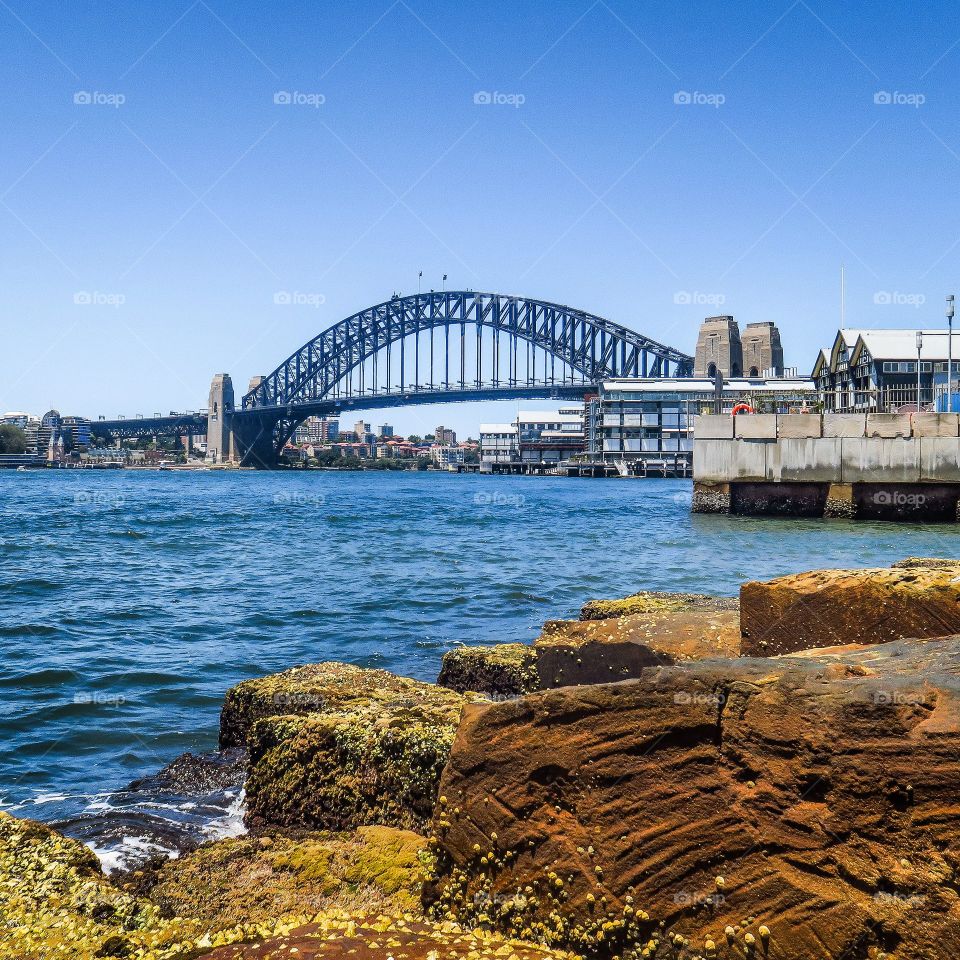 Harbor Bridge