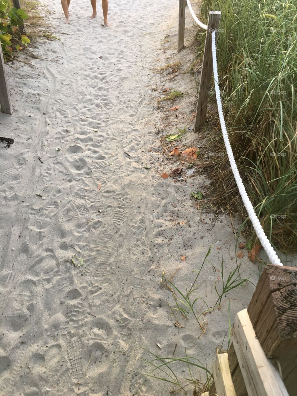 Beach walkway