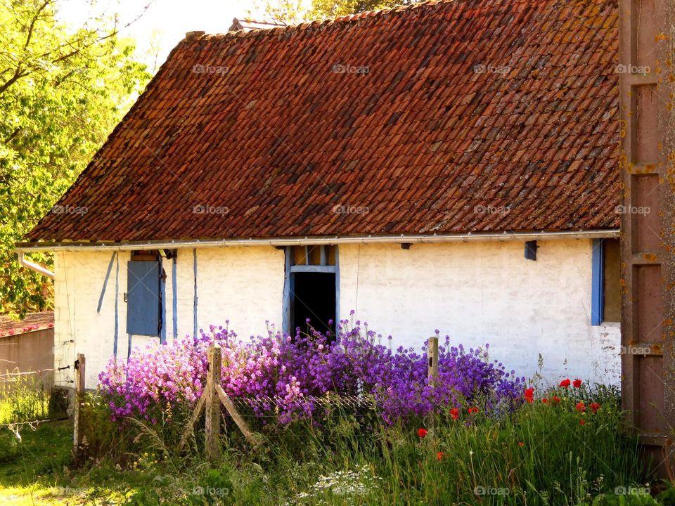 beautiful cottage