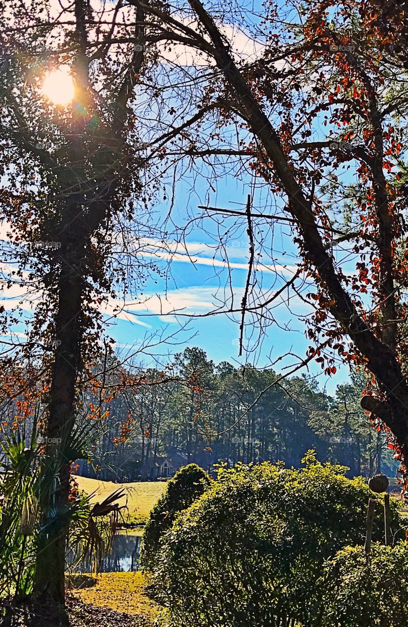 Sign of the cross 