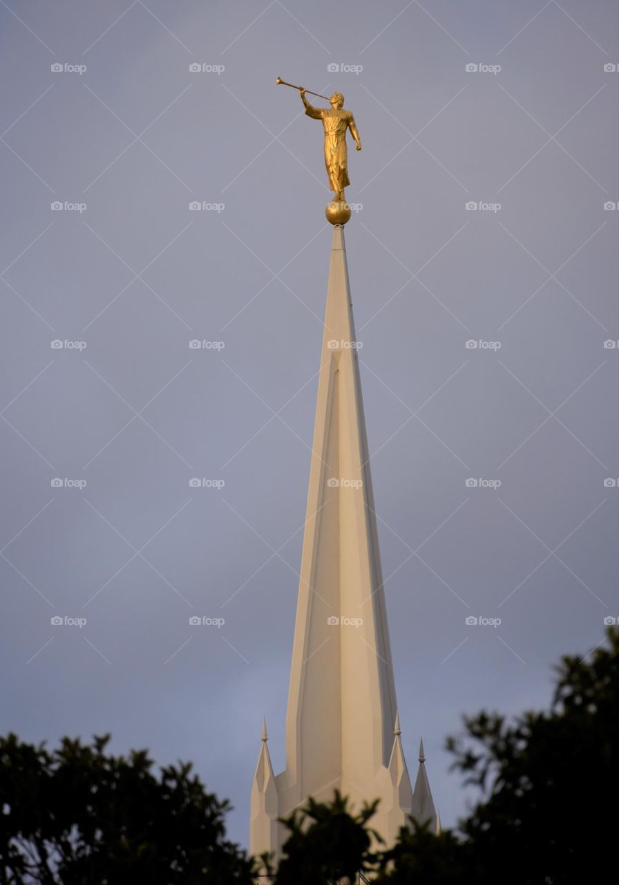 Good Morning San Diego