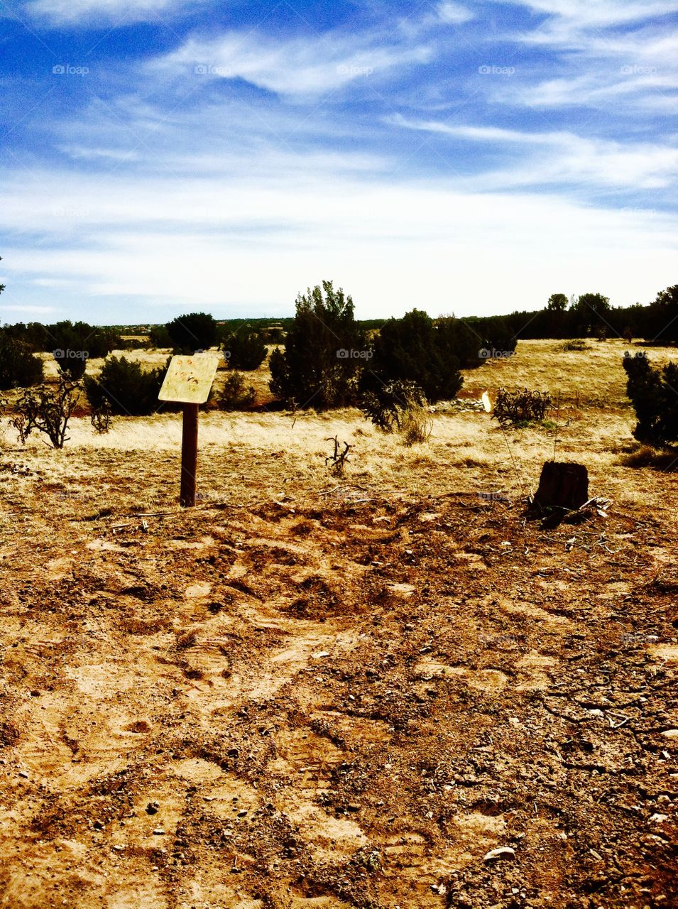 Disc golf course in New Mexico 