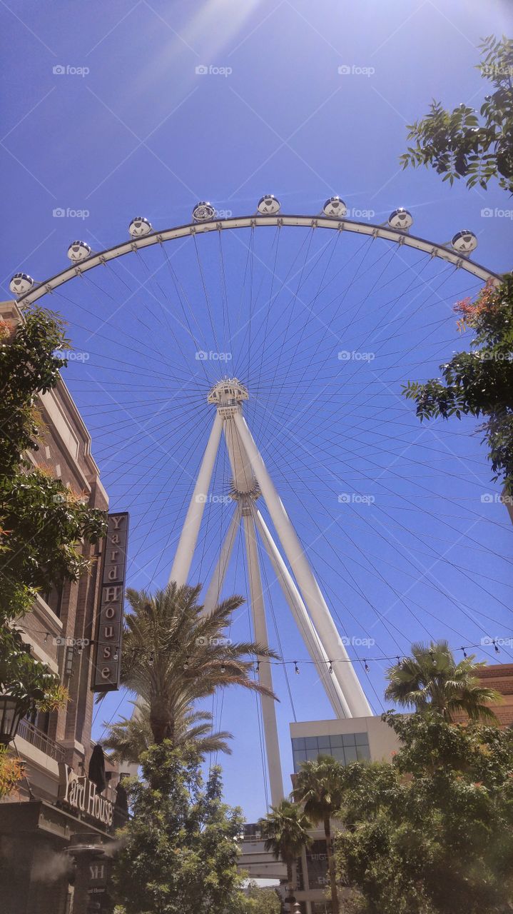 looking up at the high roller