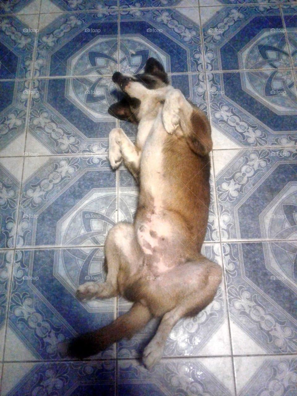 Sleeping handsome...