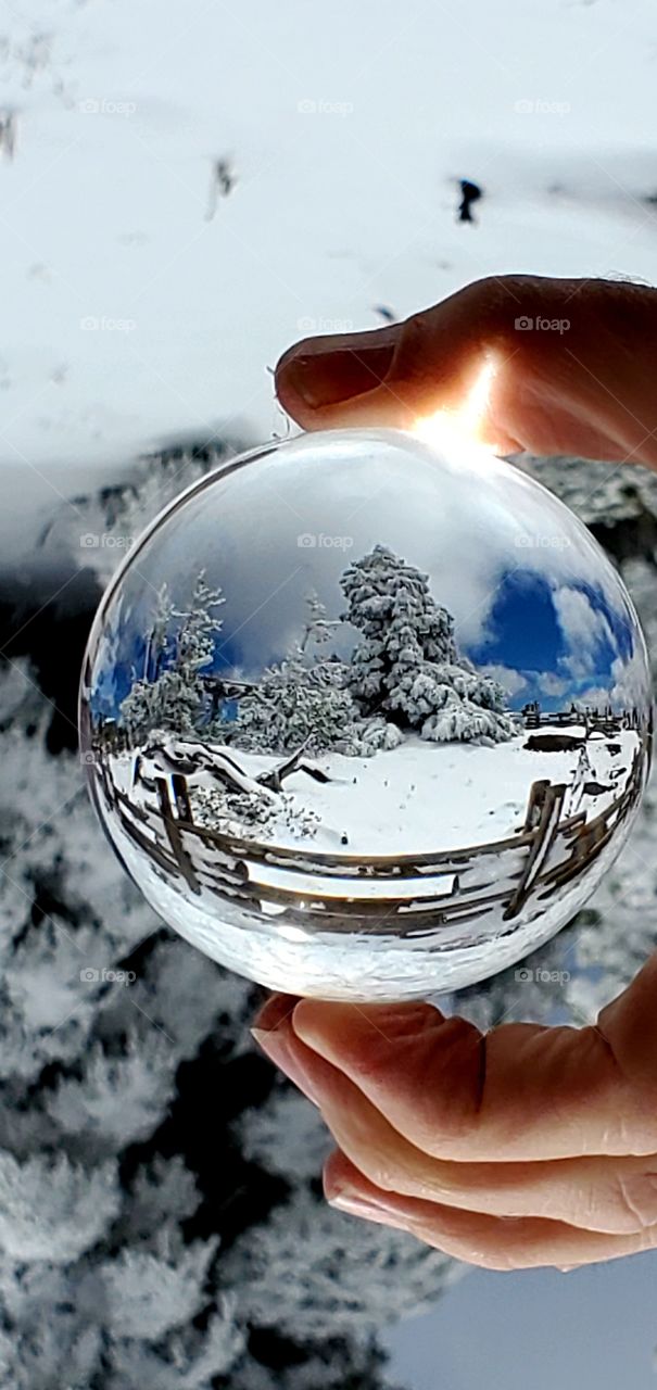 summer snow globe scene