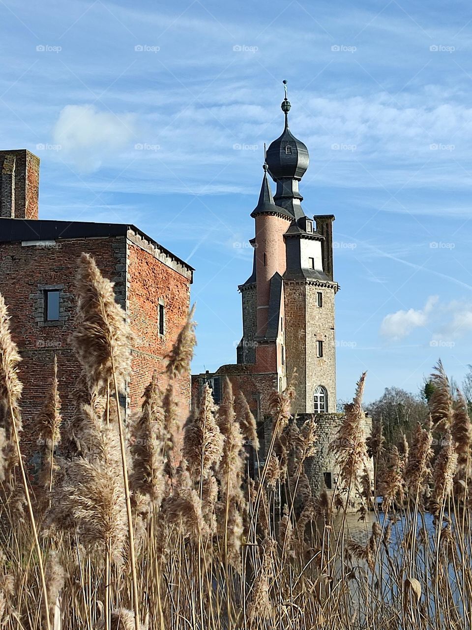 Visit of the castle of Havré, Hainaut