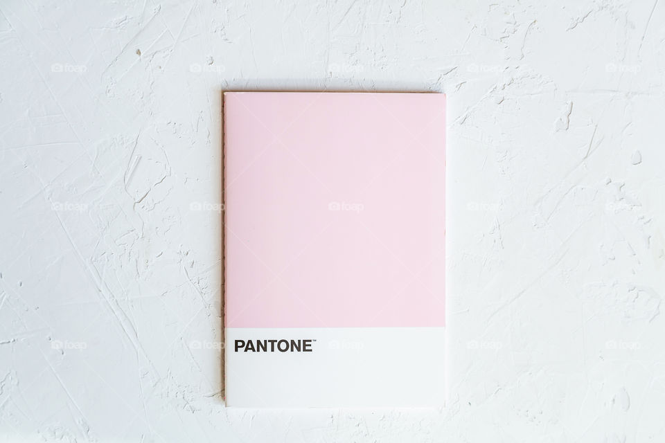 Pink color from Pantone on gray concrete background 