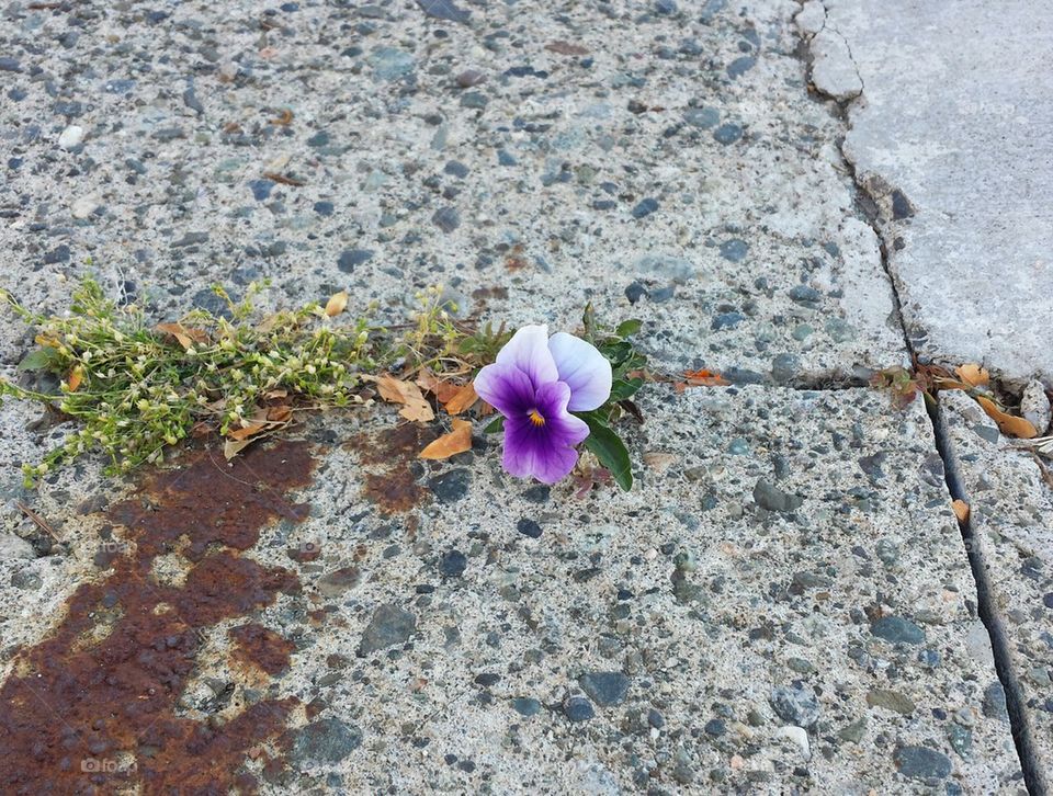 strength between the cracks