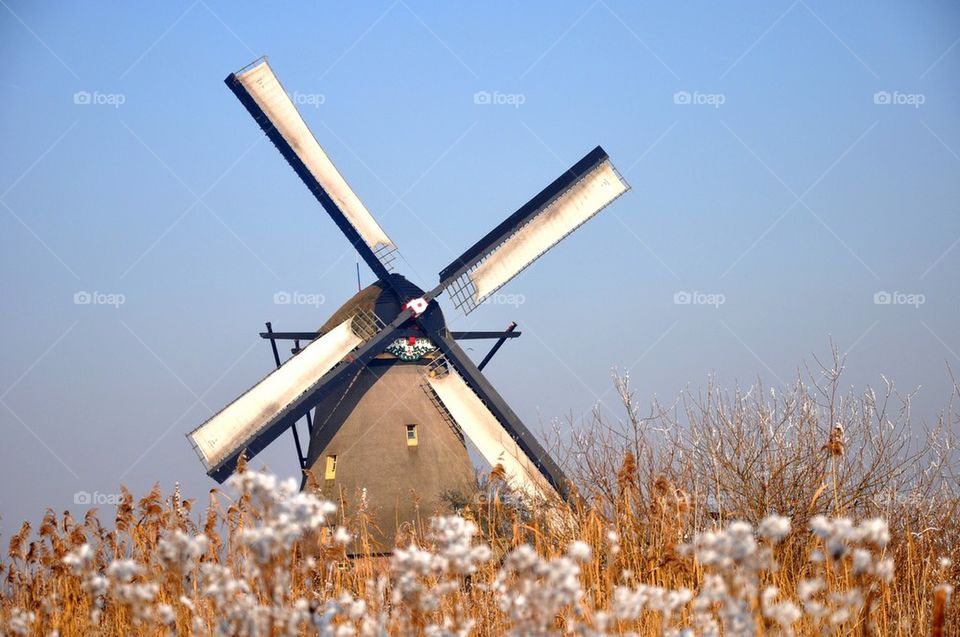 Wind mill at holland