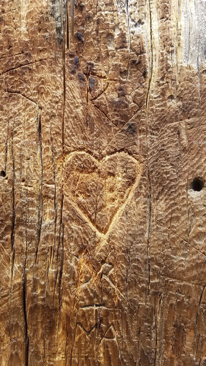 Heart carved on the wood