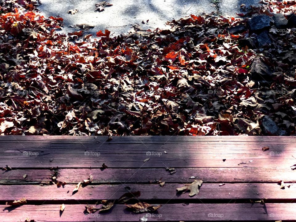 Fallen red oak leaves blown against wooden porch step in dappled sunlight 