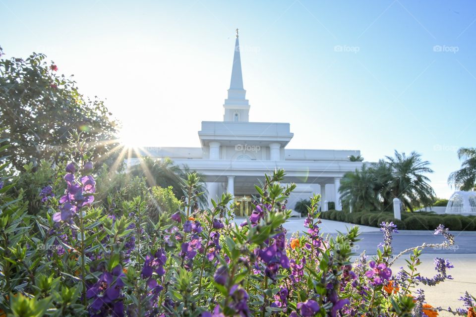 The Orlando Florida Temple of The Church of Jesus Christ of Latter-day Saints