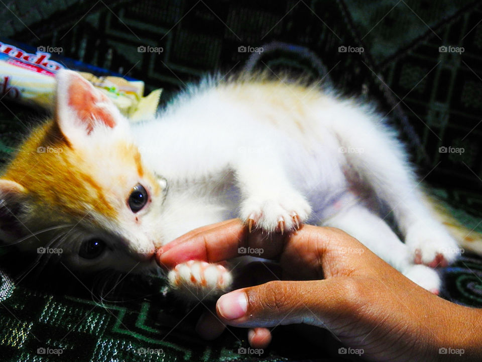 One of the most amazing pet men can have