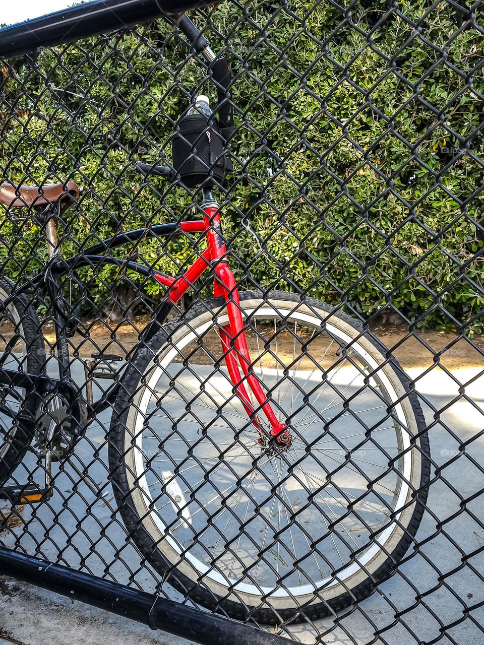 Black and red bicycle behind a black chain link fence in the park, by the dog park