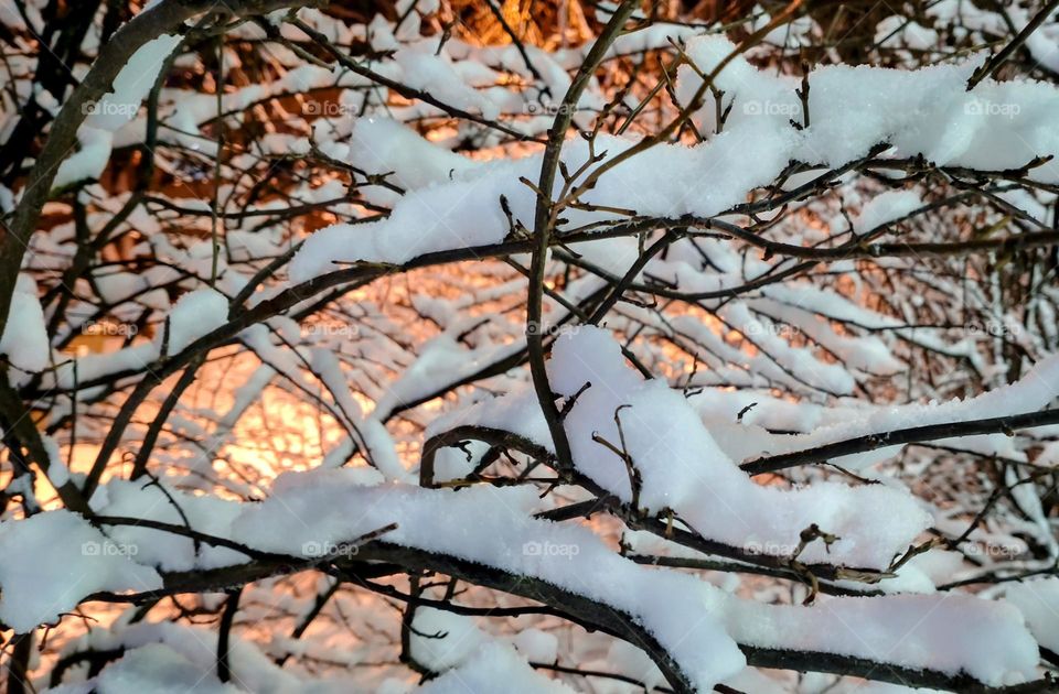 Winter ❄️❄️❄️