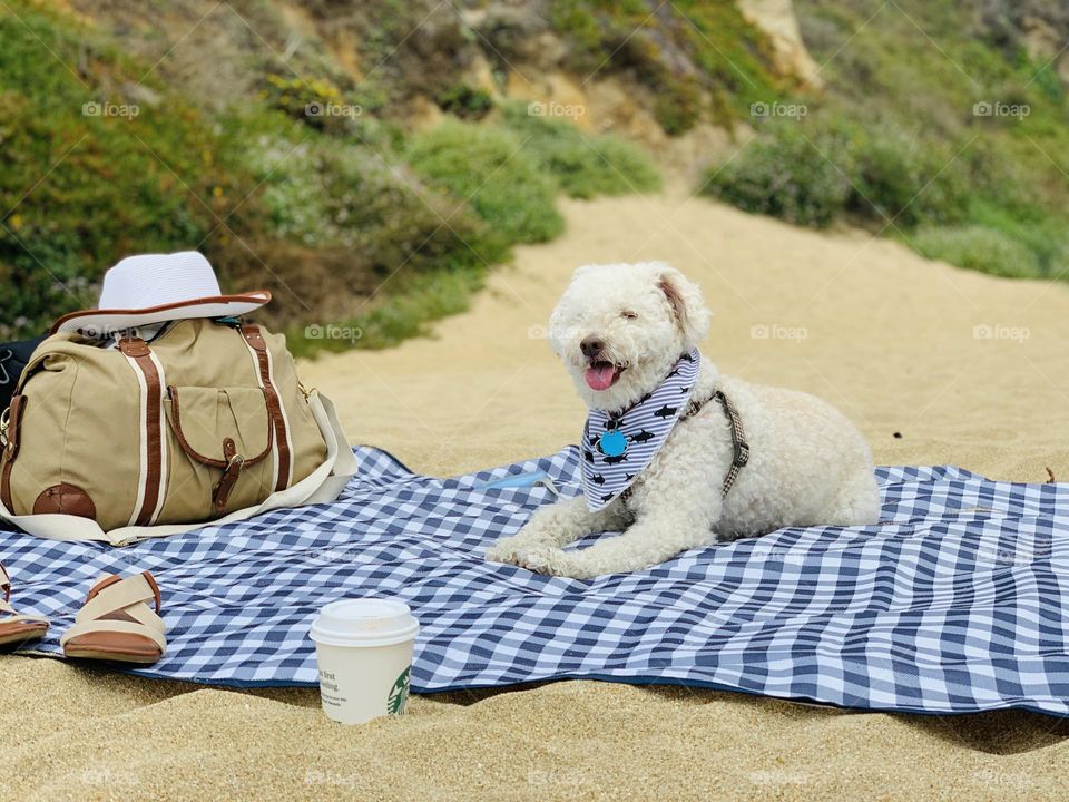 Beach Day