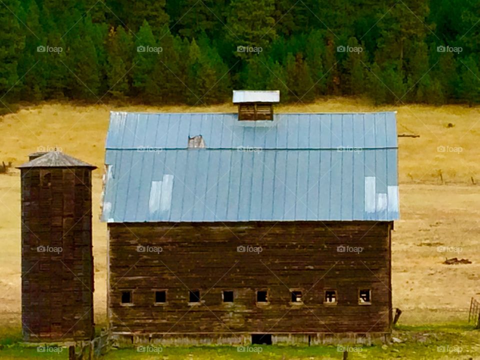 Red barn in wheat field