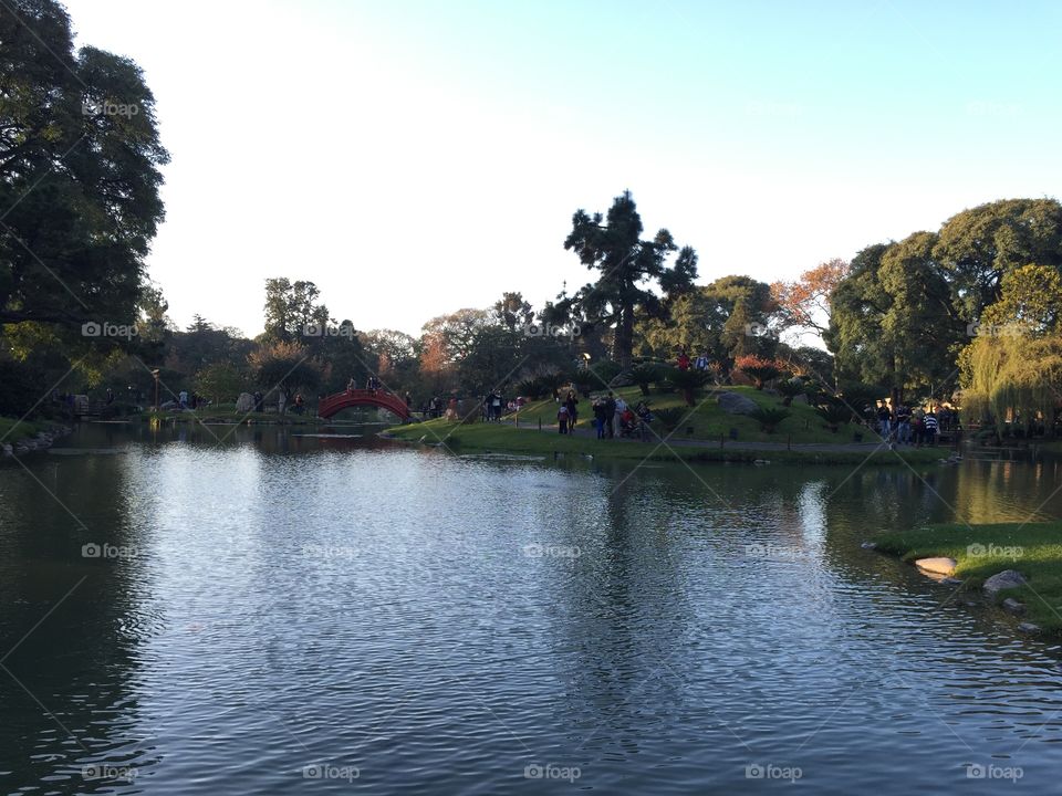 Japanese garden III. The Japanese garden of Buenos Aires- Argentina 