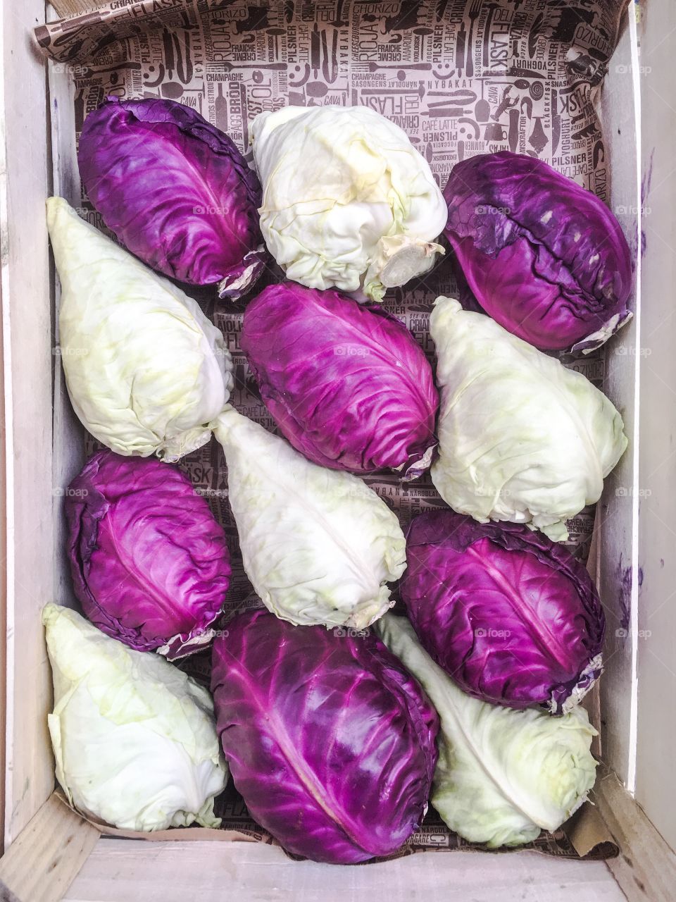 pretty cabbage