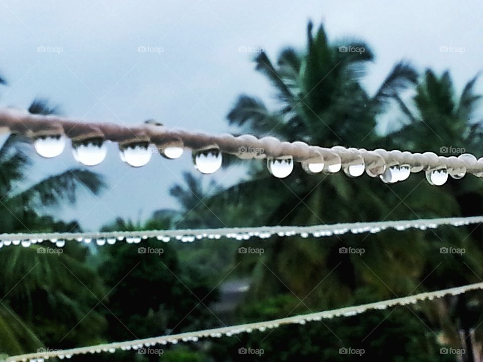 rain drop. drop and drop