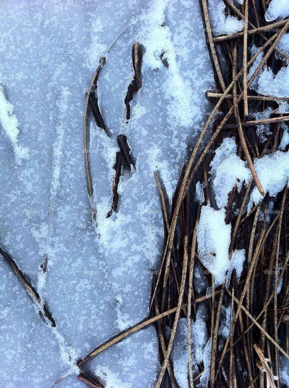 snow winter nature outdoors by hexoic