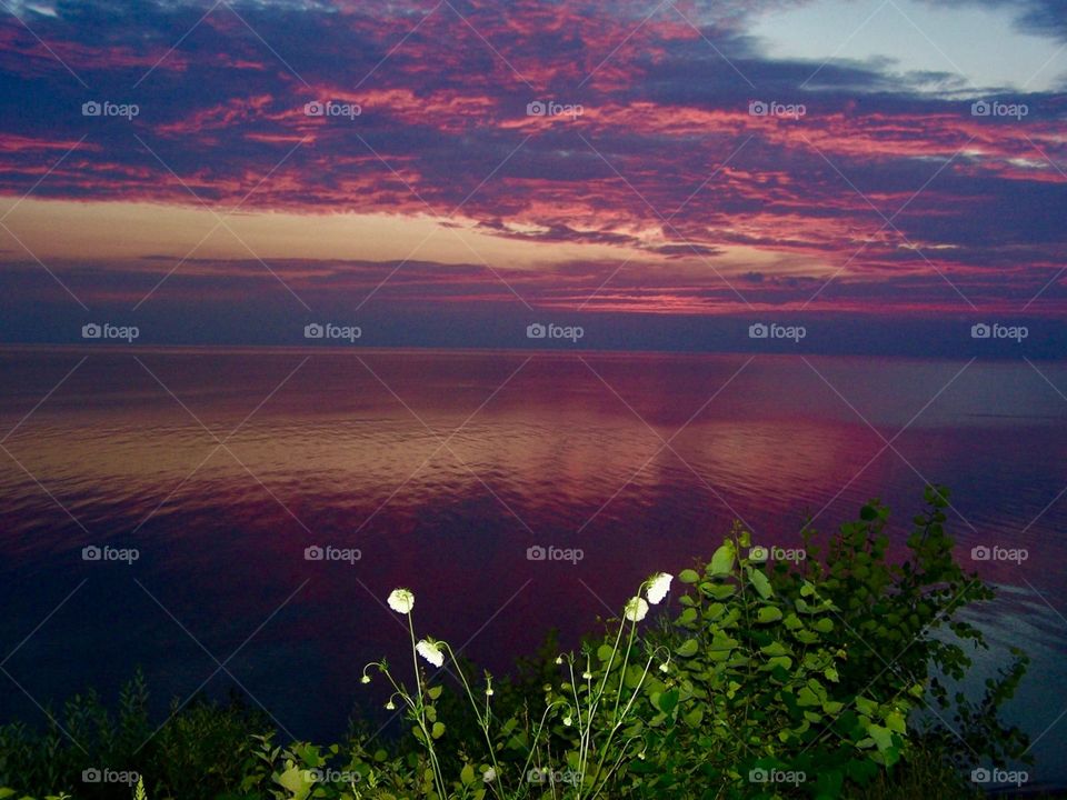 Flowery Sunset, Lake Michigan