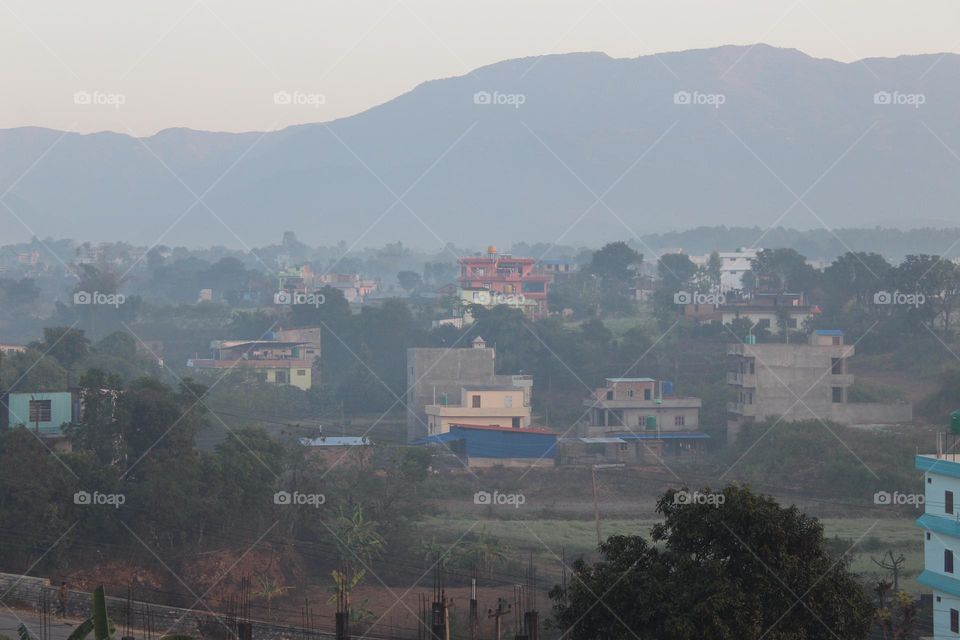 nechural view from my home
